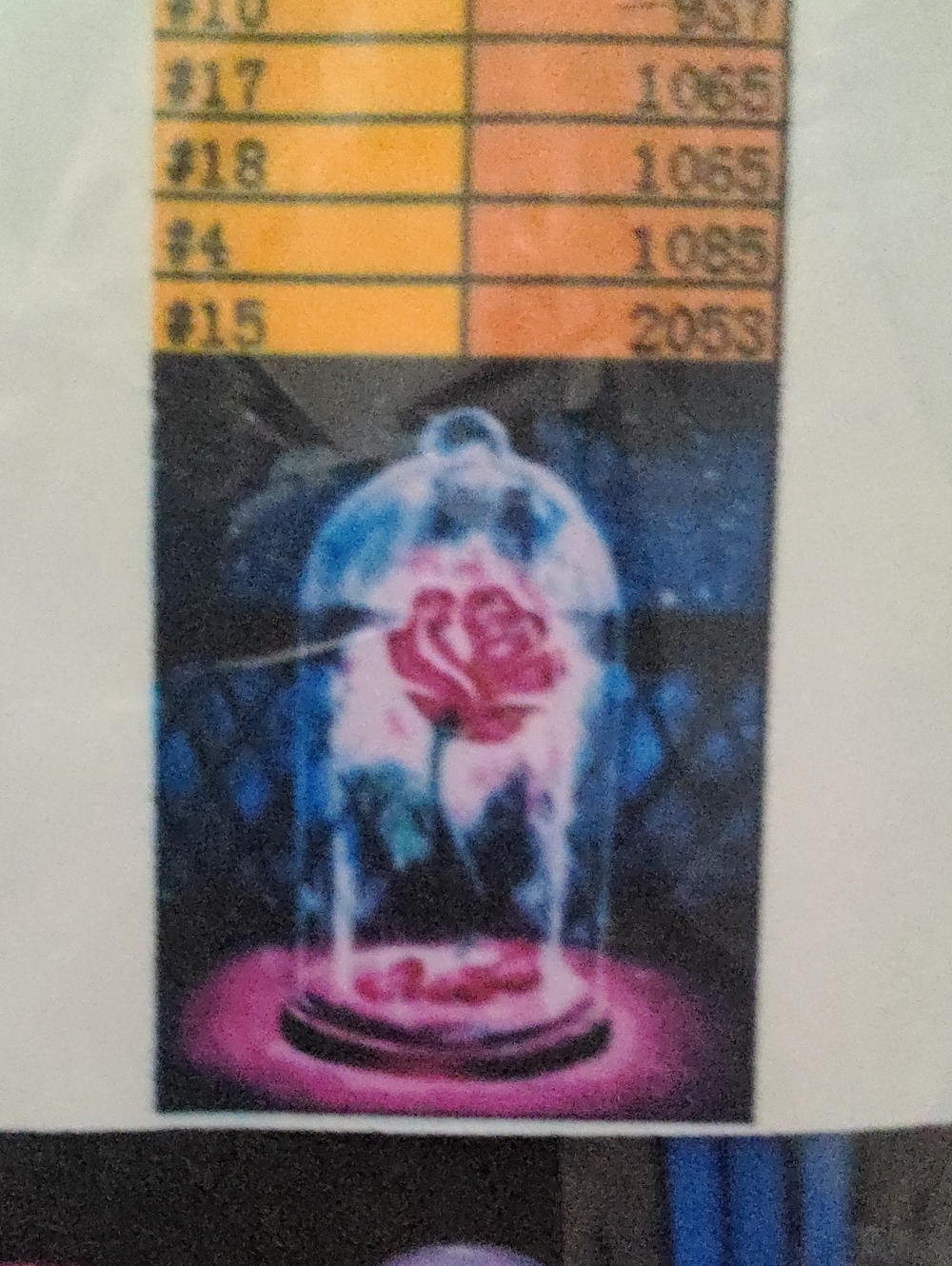 Enchanted Rose Decorative Paint By Number DIY Beauty & The Beast Disney Flower